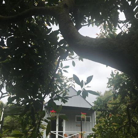 Paradise Grove Whangamata Exteriör bild