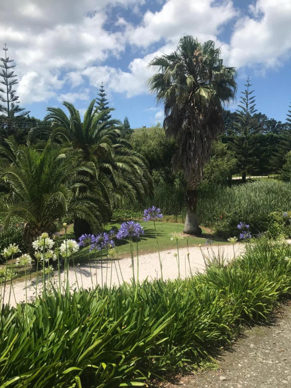 Paradise Grove Whangamata Exteriör bild
