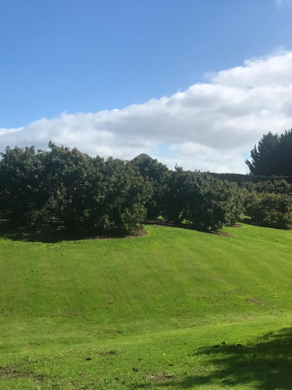 Paradise Grove Whangamata Exteriör bild