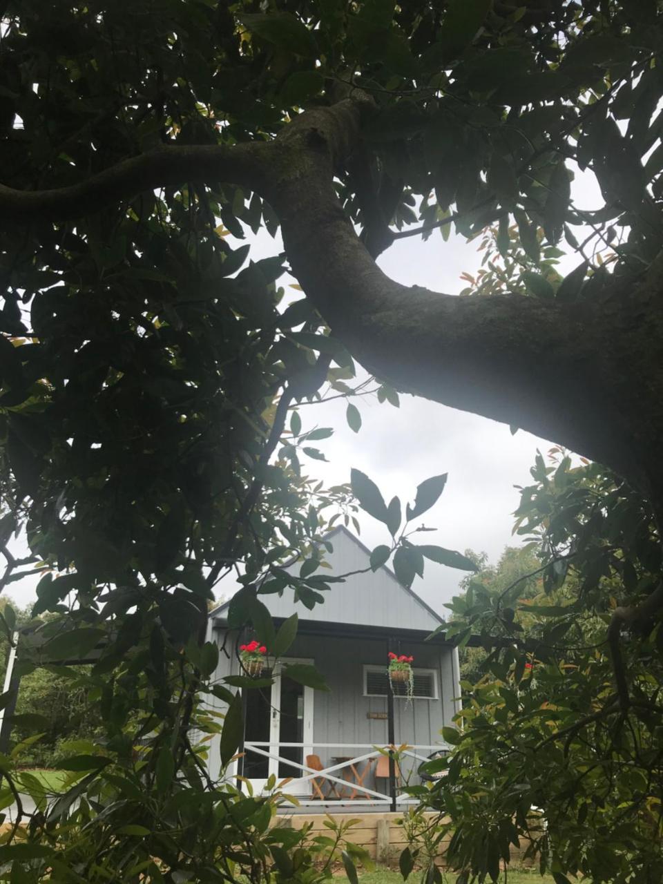 Paradise Grove Whangamata Exteriör bild