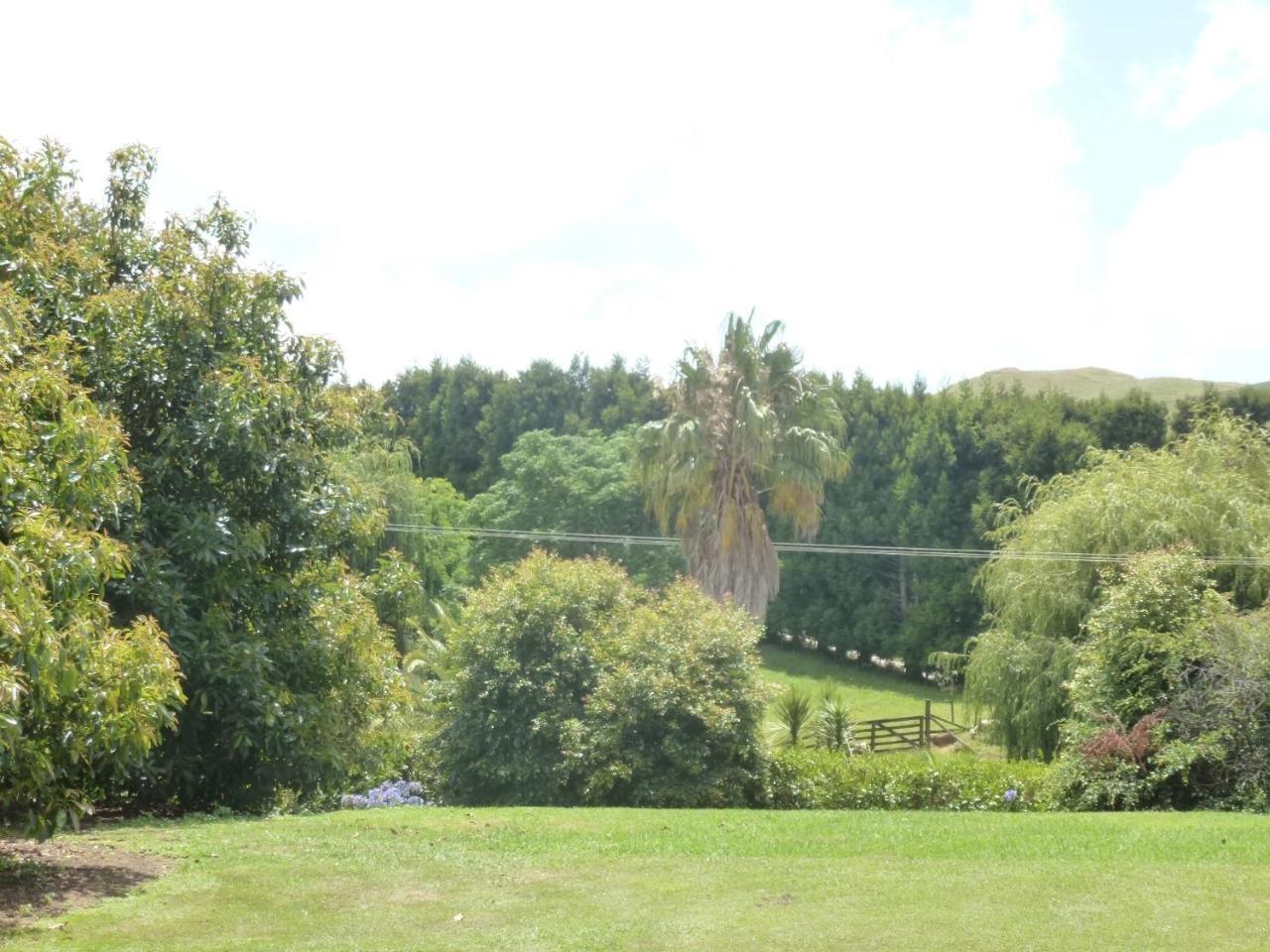 Paradise Grove Whangamata Exteriör bild