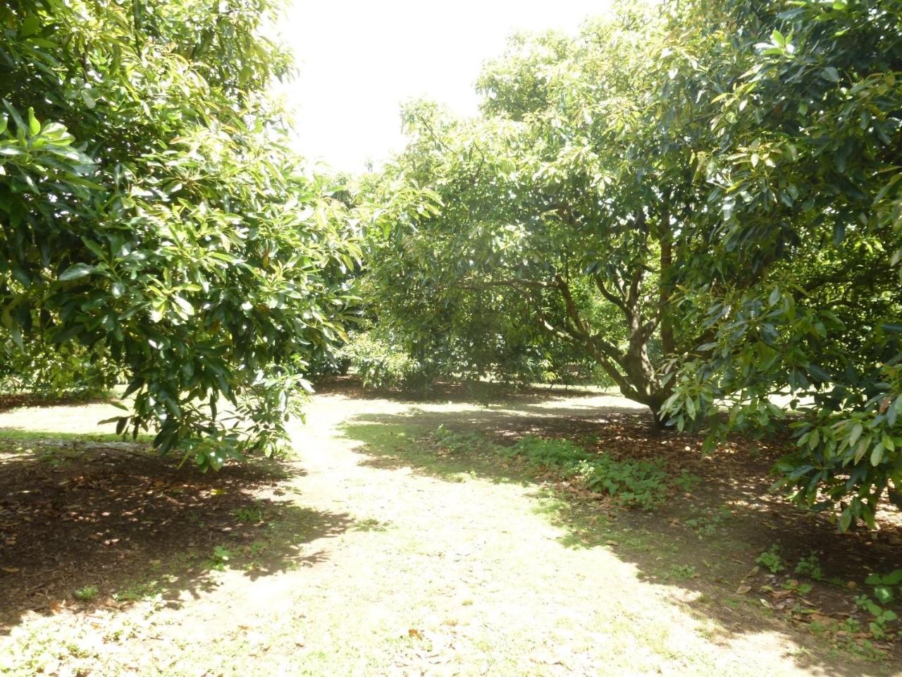 Paradise Grove Whangamata Exteriör bild